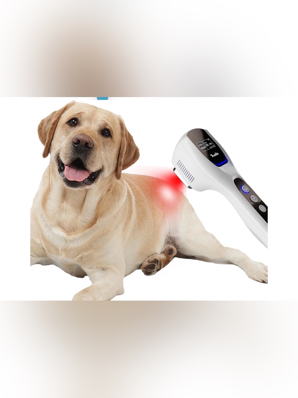 Pet Therapy Device for Dogs & Cats, Deep Penetrating Dual-Wavelength - Picture 5 of 7